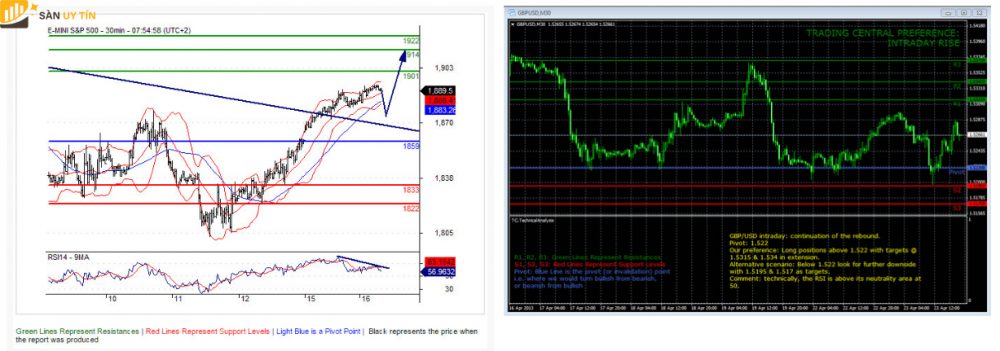 Real Forex là gì? Real Forex lừa đảo không?