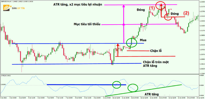 Biểu đồ hướng dẫn cách cắt lỗ và chốt lời trên thị trường Forex 