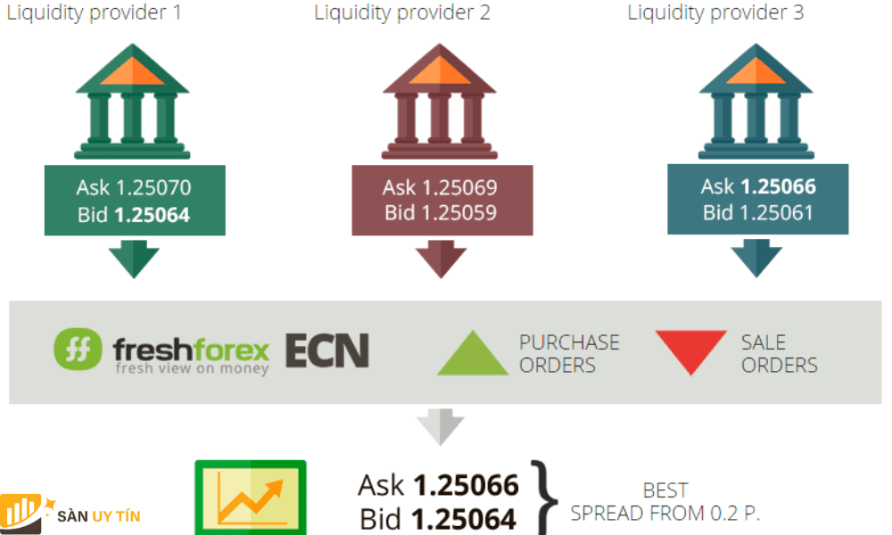 FreshForex cung cap 3 loai tai khoan danh cho khach hang