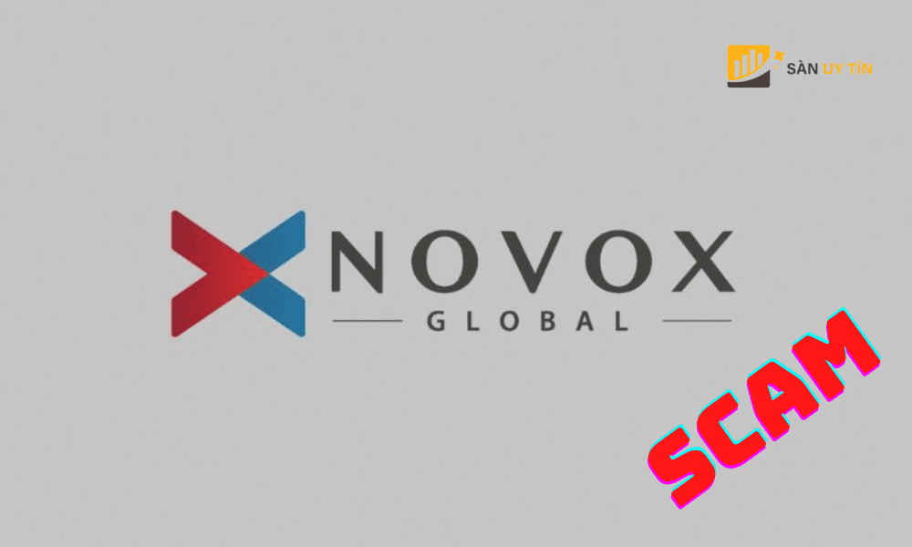 Đánh giá sàn Novox