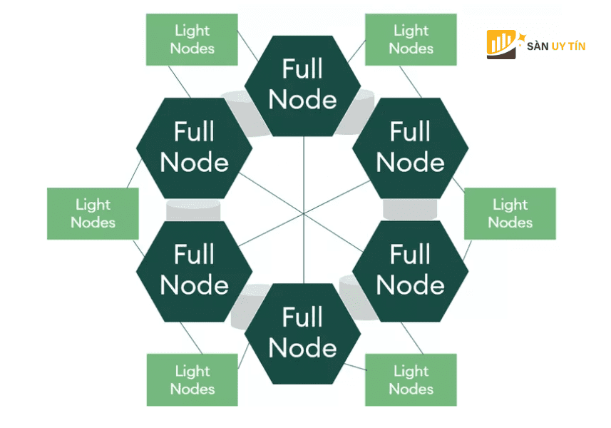 Node duoc phan thanh 2 loai chinh trong blockchain