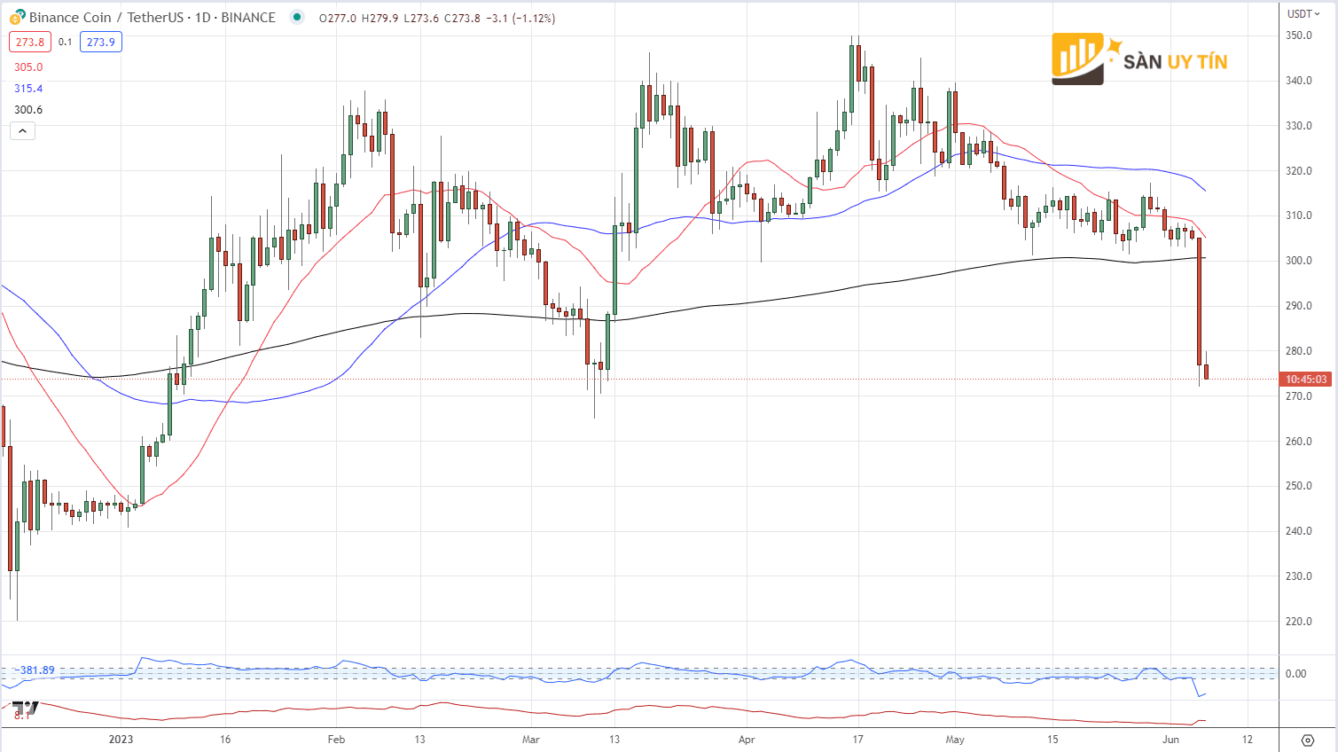 Bieu do gia hang ngay cua Binance coin BNB