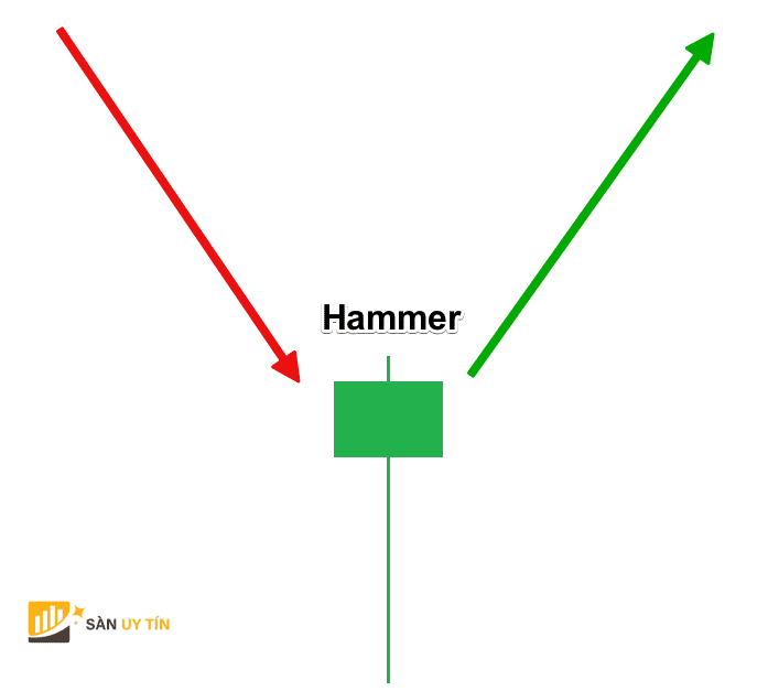 Hammer la nen bua co than nho va bong duoi dai bong tren ngan hoac gan nhu khong co bong.